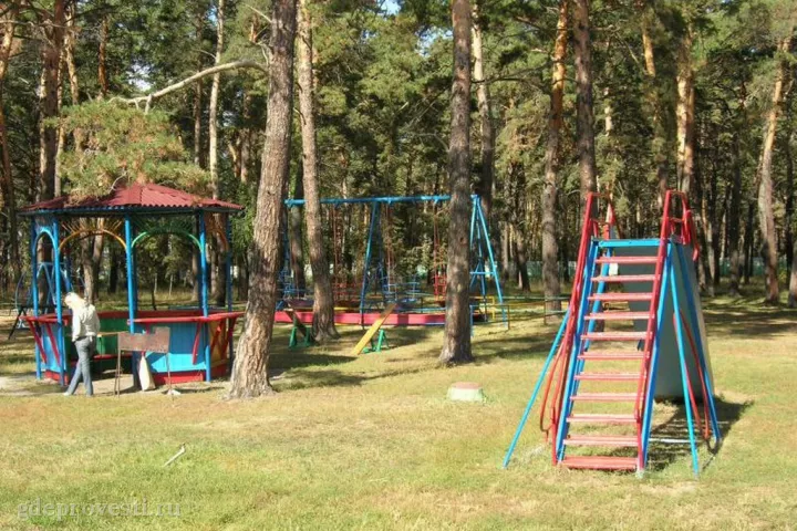 Стрельникова — загородная площадка в Омске