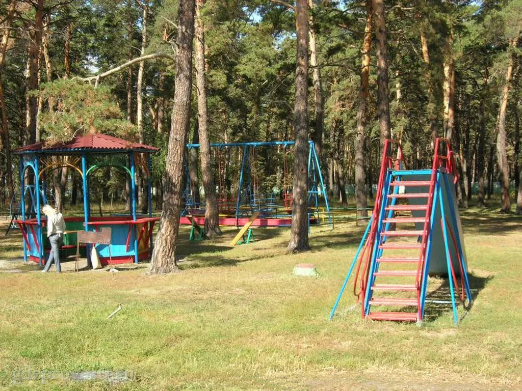 Стрельникова — загородная площадка в Омске, фото 1