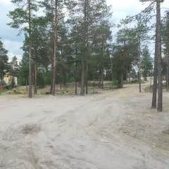 Белая гора. Ноябрьск