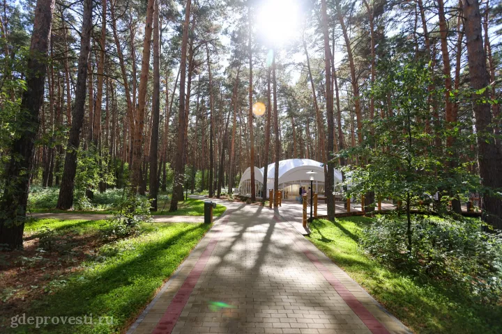 Парк-отель «Мечта» — шатёр — загородная площадка в Омске, фото 4