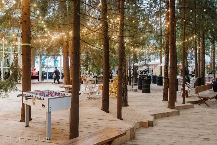 LOFT HALL THE BIRCH — Mahogany Terrace — загородная площадка в Москве, фото 6