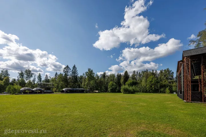 LOFT HALL THE BIRCH — The Field — загородная площадка в Москве, фото 3