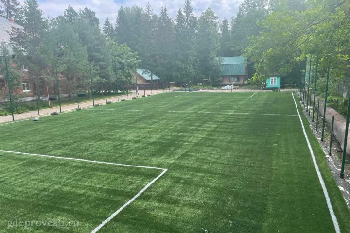 Парк-отель «Покровское» — спортивная площадка в Москве, фото 6