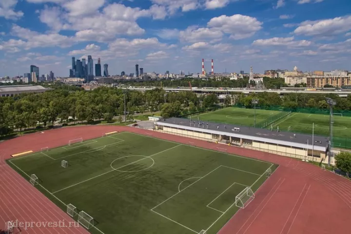 Спорткомплекс «Лужники» — спортивная площадка в Москве, фото 2