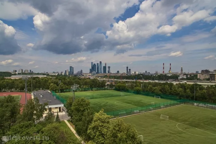 Спорткомплекс «Лужники» — спортивная площадка в Москве, фото 3