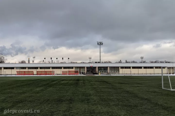Спорткомплекс «Лужники» — спортивная площадка в Москве, фото 4