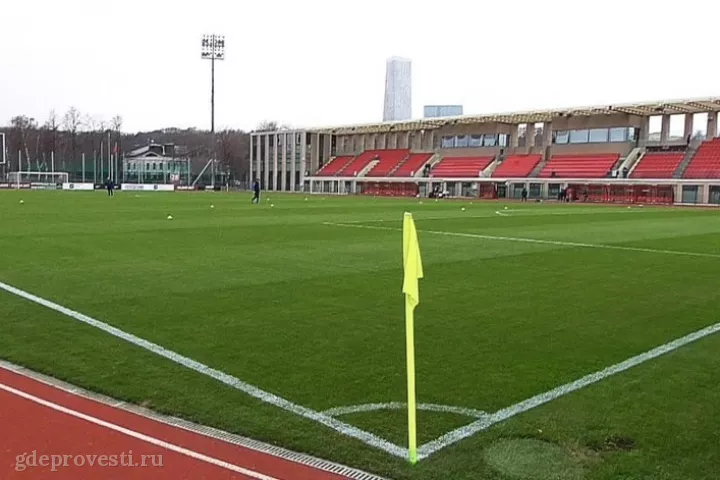 Спорткомплекс «Лужники» — спортивная площадка в Москве, фото 5