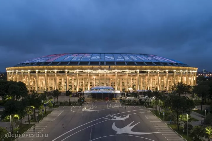 Спорткомплекс «Лужники» — спортивная площадка в Москве, фото 6