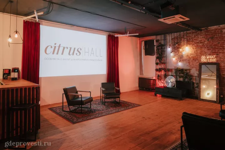 Citrus Hall — Лофт Grapefruit — лофт в Москве, фото 4