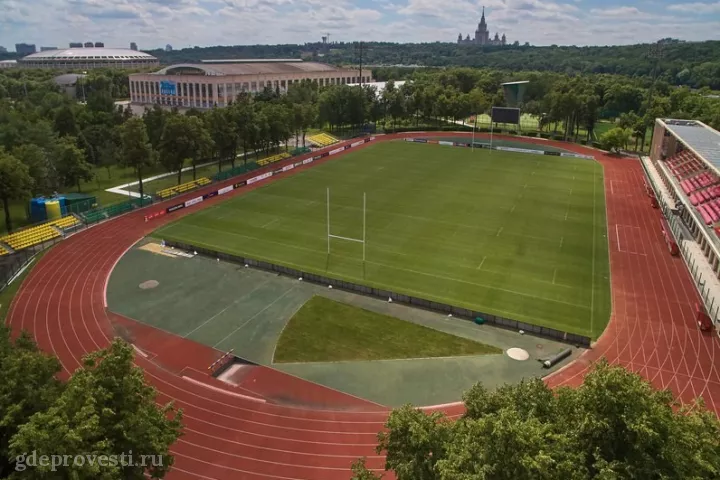 Спорткомплекс «Лужники» — спортивная площадка в Москве