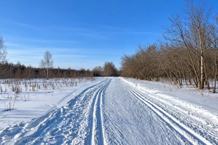 Лыжная База — загородная площадка в Омске, фото 3