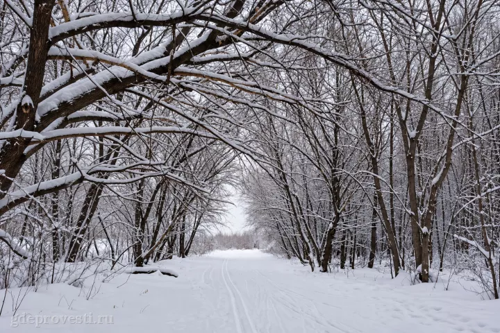 Лыжная База — загородная площадка в Омске, фото 4