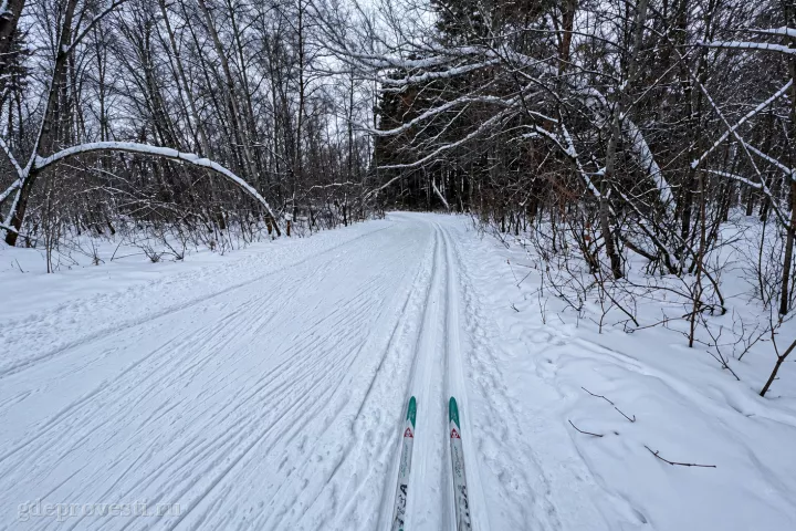 Лыжная База — загородная площадка в Омске, фото 5