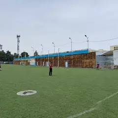 Динамо, малое поле