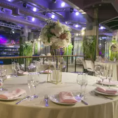 MIR EVENT — ANIMA Event