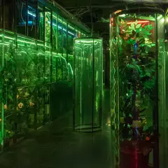 Sтанция2025
