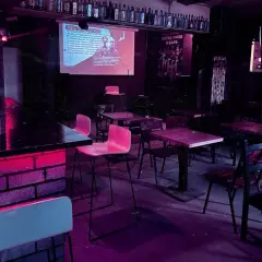Бар 4 попугая