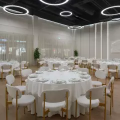 Vesna Hall